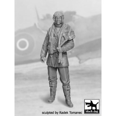 Black Dog RAF Fighter pilot 1940-45 N°1