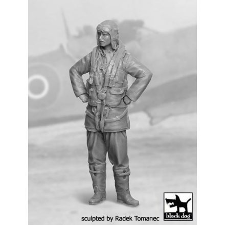 Black Dog RAF Fighter pilot 1940-45 N°2