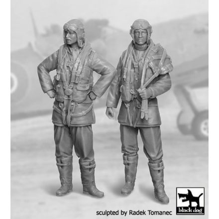 Black Dog RAF Fighter pilots 1940-45 set