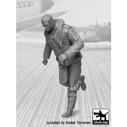Black Dog RAF fighter pilot N°3