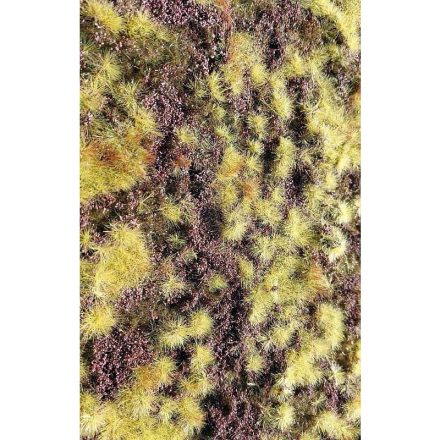 Model Scene Dry Heathland