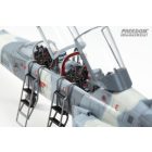 Freedom F-20B/N Tiger Shark makett