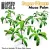 Green Stuff World Paper Plants - Musa Trees