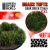 Green Stuff World Grass TUFTS XXL - 22mm self-adhesive - DARK GREEN
