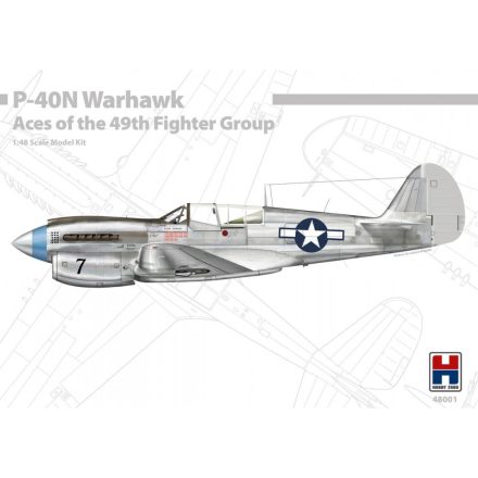 Hobby 2000 P-40N Warhawk Aces of the 49th Fighter Group makett