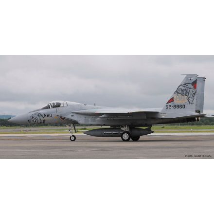 Hasegawa F-15J/DJ Eagle 201st Squadron 30th Anniversary makett