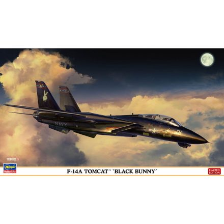 Hasegawa F-14A Tomcat 'Black Bunny' makett