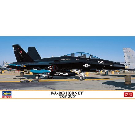 Hasegawa F/A-18B Hornet "Top Gun" makett