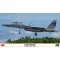 Hasegawa F-15DJ Eagle 'Pacific Skies 2024' - katonai repülő makett