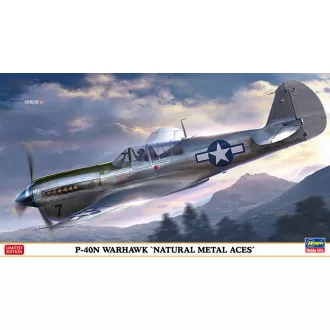   Hasegawa P-40N Warhawk 'Natural Metal Aces' - katonai repülő makett
