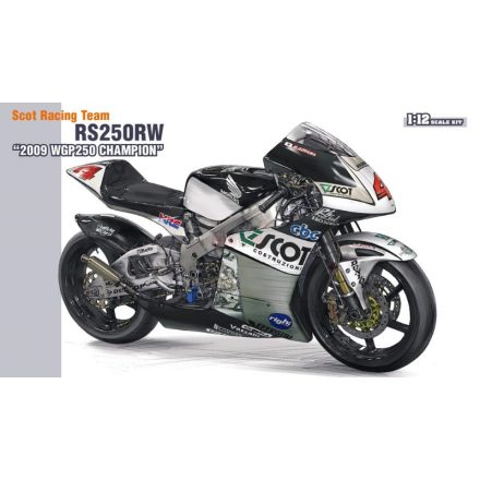 Hasegawa Scot Racing Team RS250W 2009 WGP250 Champion makett