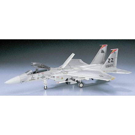 Hasegawa F-15C Eagle makett