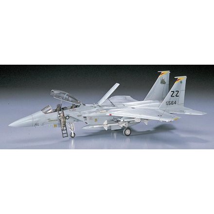 Hasegawa F-15D/DJ Eagle makett