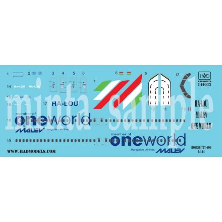 HAD Boeing 737-800 Malév One world