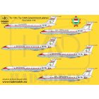 HAD Tu-134 / Tu-134A kormánygépek