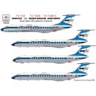 HAD Tu-134 Tu-134A Tu-134A-3 MALÉV (Zvezda) matrica