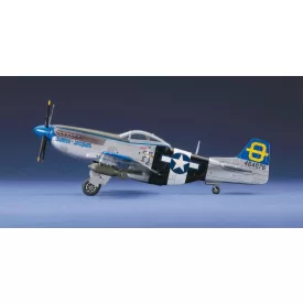 Hasegawa P-51D Mustang makett