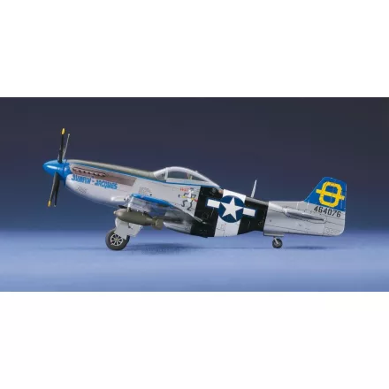 Hasegawa P-51D Mustang makett