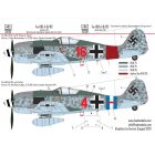 HAD Fw 190 A-8/R2 matrica