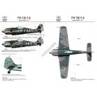 HAD FW 190 F-8 ( German black 22, 33)