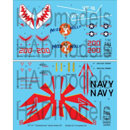 HAD F-14A ”Miss Molly” double decal sheet