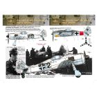 HAD Fw-190 F-8 / A-8 (Luftwaffe "black 2")