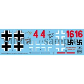   HAD Fw-190 A-8 / R2 red 4 "Ur Sau"; Red16 "Schwarzer Panter"