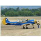 HAD JAK -52 "Vári Gyula" + HunAF jelzések