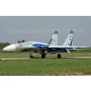 HAD Su-27 (Russian 08 shark)