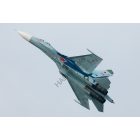 HAD Su-27 (Russian 08 shark)