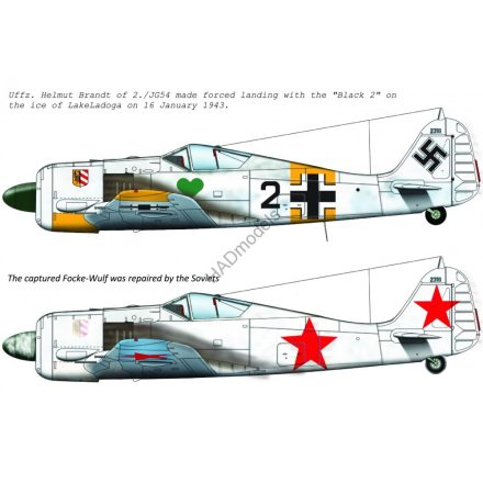 HAD FW-190 A-4 ( JG54 “Black 2”; + captured “black 2” for Soviet Army)