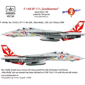 HAD F-14A VF111 Sundowners – Miss Molly matrica