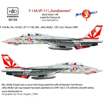 HAD F-14A VF111 Sundowners – Miss Molly matrica
