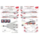 HAD F-14A VF-1 Wolfpack USS Enterprise matrica