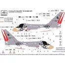 HAD S-3A Viking The Final Countdown matrica