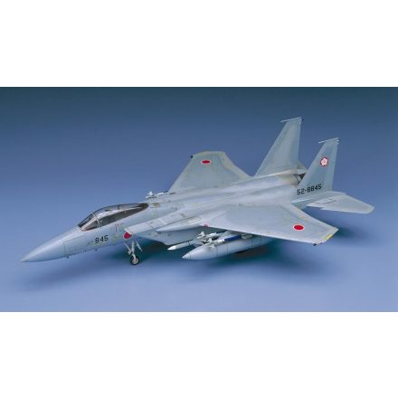 Hasegawa F-15J/DJ Eagle JASDF makett