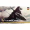 Hasegawa F-14A Tomcat 'Ace Combat Razgriz' - katonai repülő makett