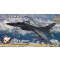 Hasegawa 52164 F-2A Kei Nagase "19th Task Force Aces" - katonai repülő makett