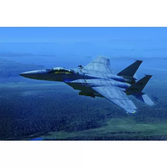 Hobby Boss F-15E Strike Eagle makett