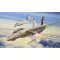 Hobby Boss F-14B Tomcat repülő makett