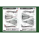Hobby Boss F-14A Tomcat repülő makett