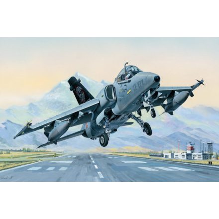 Hobby Boss AMX Ground Attack Aircraft makett