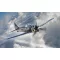 Hobby Boss Focke-Wulf FW190A-6 repülő makett