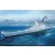 Hobby Boss USS Missouri BB-63 makett