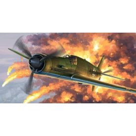 HK Models Dornier Do-335A makett