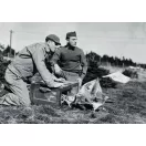 Hauler U.S. pigeons of war fotómaratás