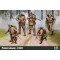 IBG Polish Infantry 1939 makett
