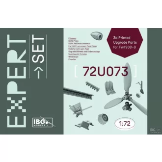   IBG Models Expert Set: Fw 190D-9 - pilóta biztonságiöv készlet