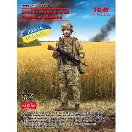 ICM Soldier of the Armed Forces of Ukraine