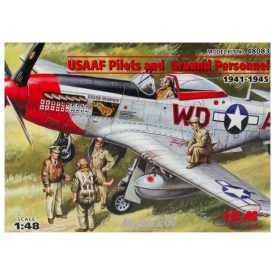 ICM USSAF Pilots and Ground Personnel (1941-1945)